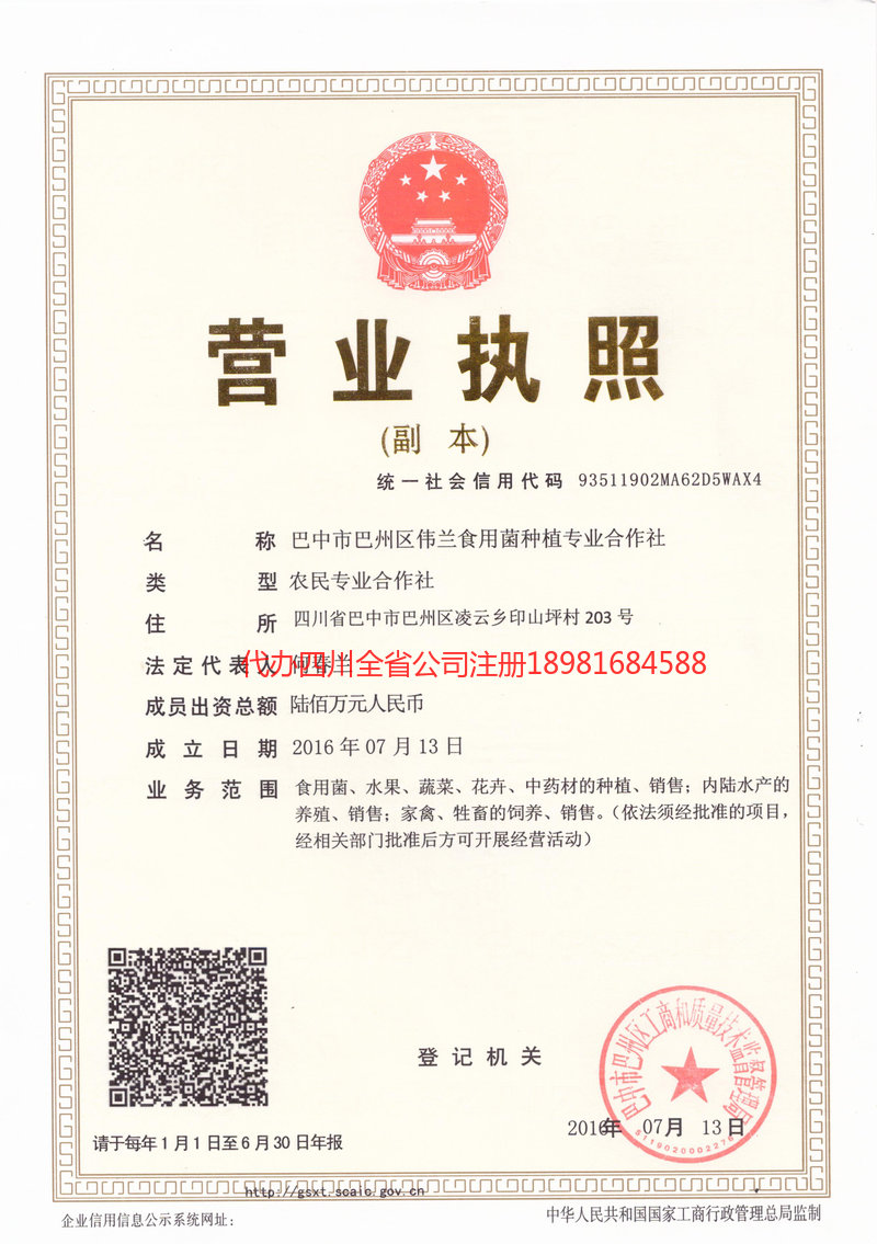 芒市芒市伟兰食用菌种植专业合作社